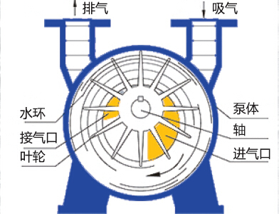 大連計(jì)量泵廠家咨詢